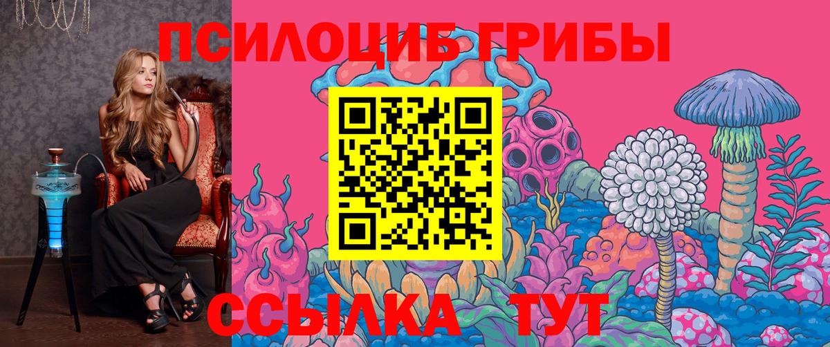 Кулебаки  Галлюциногенные грибы MAGIC MUSHROOMS  Галлюциногенные грибы Psilocybine cubensis  Вход с VPN 